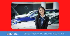 Tư vấn nếu bạn muốn làm nhân viên kinh doanh ô tô Mercedes